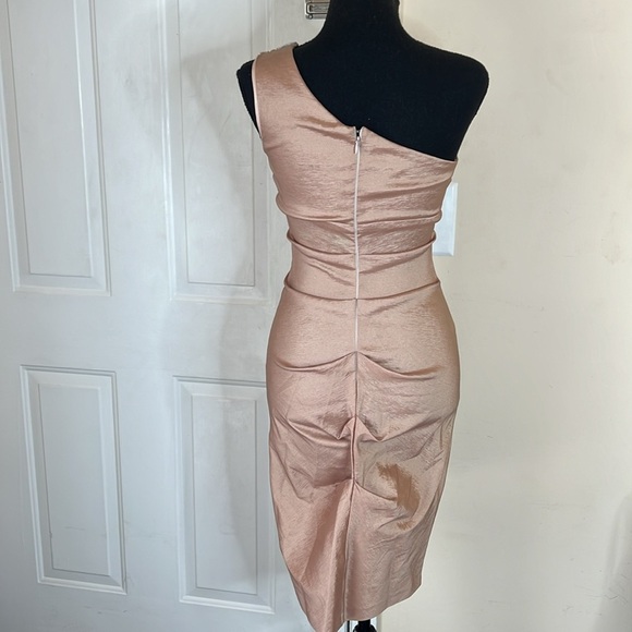 Cache blush pink champagne beaded one shoulder ruched mini dress size 2 - Picture 5 of 10